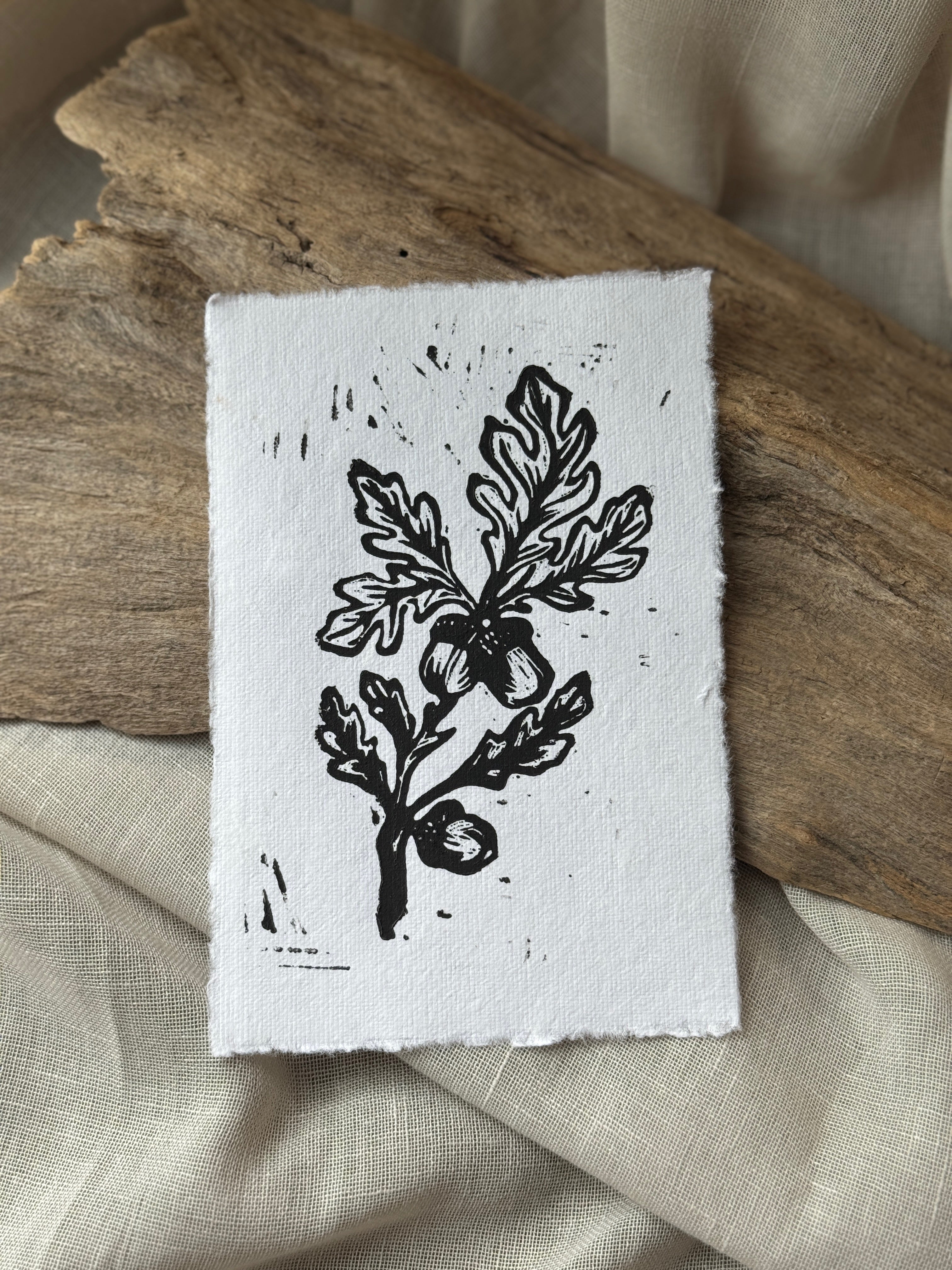 Oak & Acorn Print