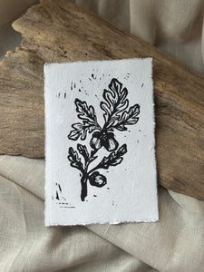 Oak & Acorn Print