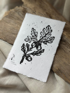Oak & Acorn Print