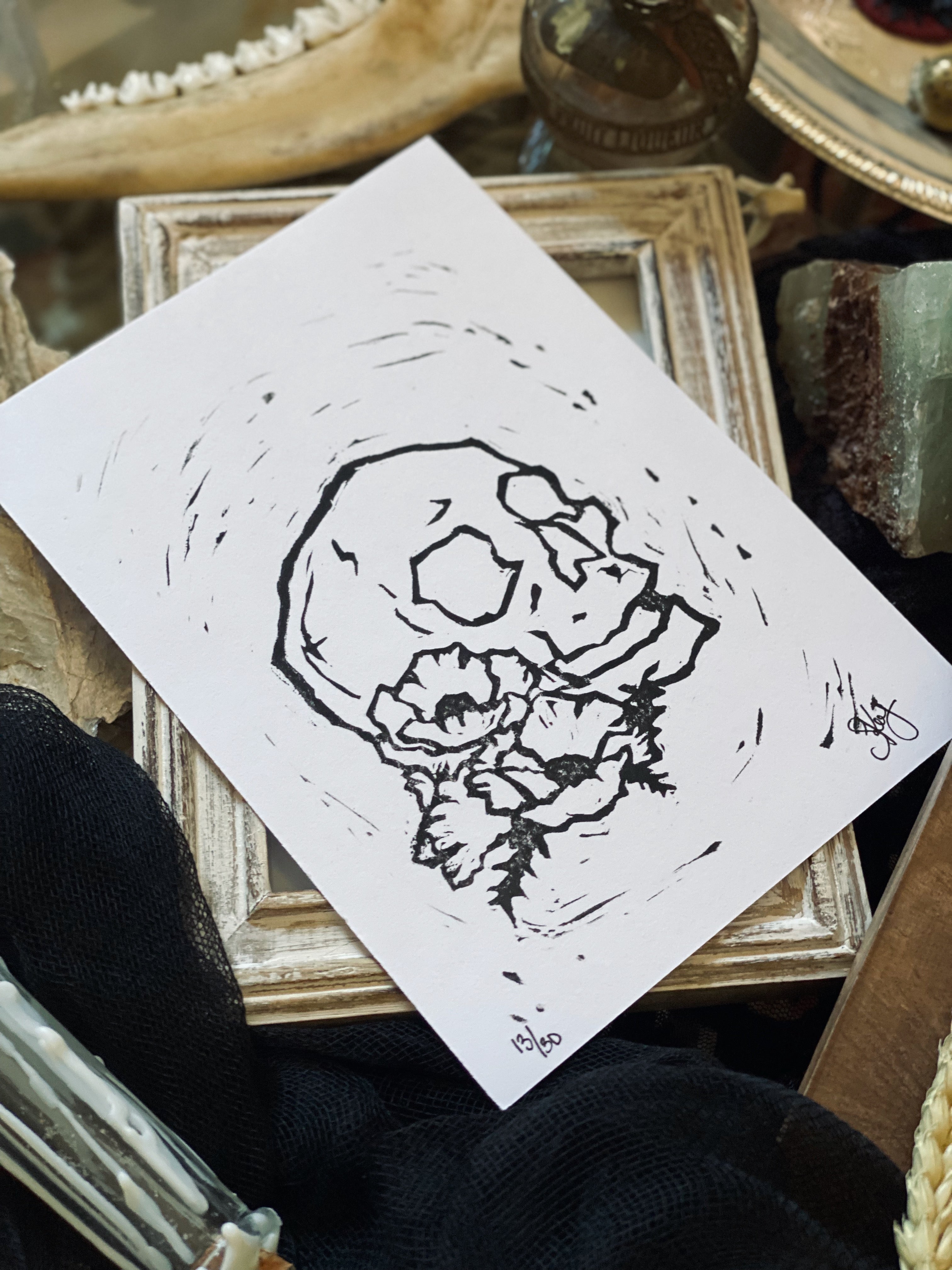 The Skull & Anemone Print by sky|sea